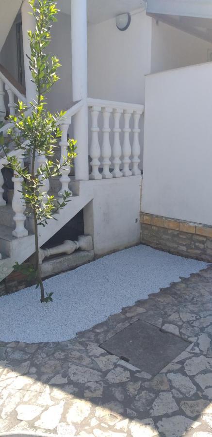 Apartman Zvoncica Vrsi Zewnętrze zdjęcie