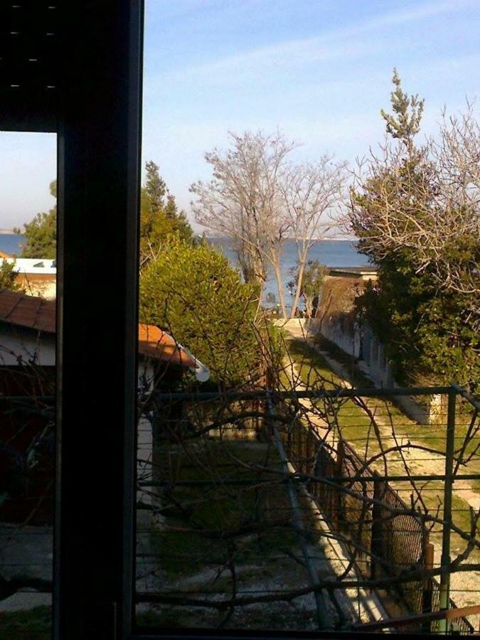 Apartman Zvoncica Vrsi Zewnętrze zdjęcie