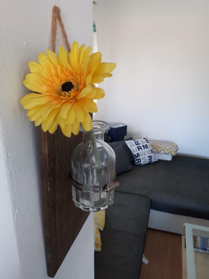 Apartman Zvoncica Vrsi Zewnętrze zdjęcie