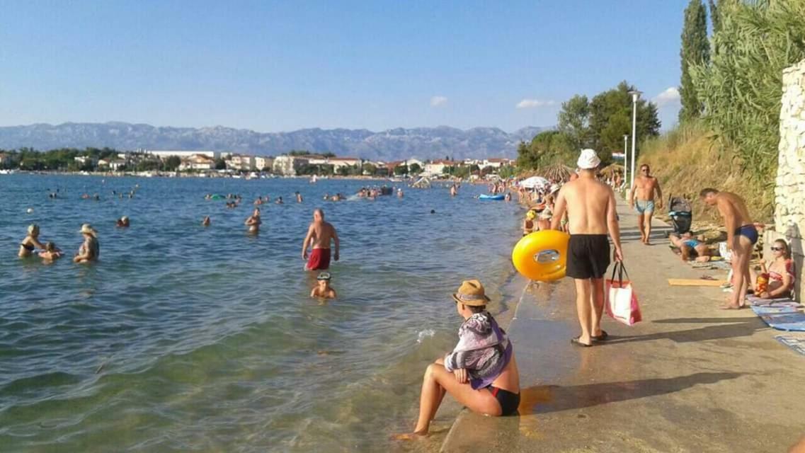 Apartman Zvoncica Vrsi Zewnętrze zdjęcie